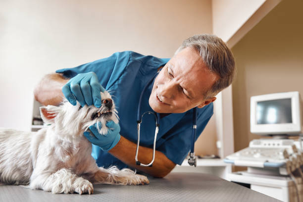 Best Pediatric Emergency Dentist in Bay City, TX