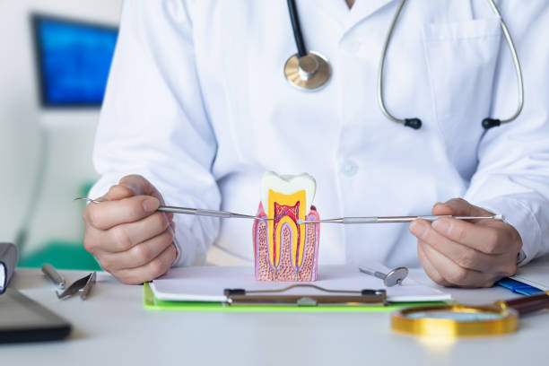 Best Emergency Wisdom Teeth Removal in Bay City, TX